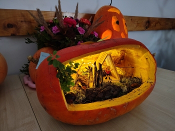 572218644_122150766050853628_4616852037524757277_n